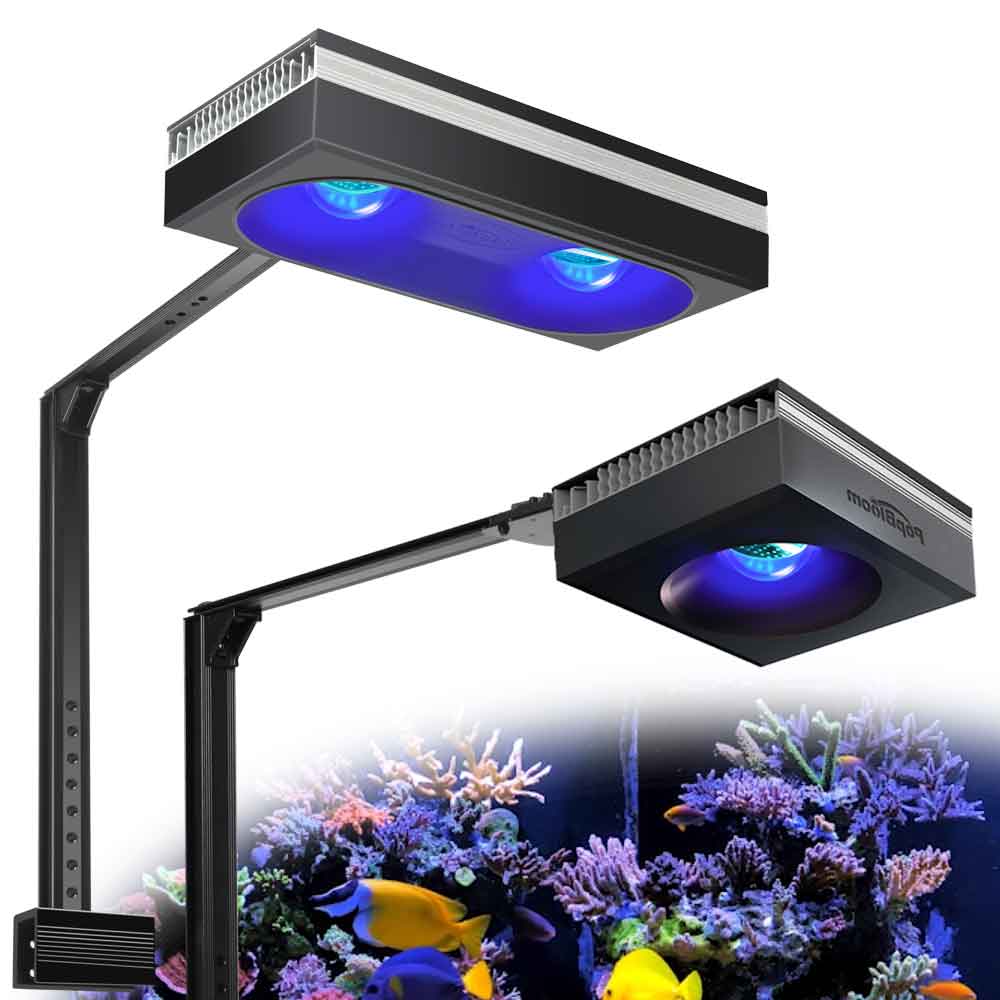 PopBloom RL90/RL180 WiFi Aquar - Marine X Aquarium recensione e prezzo