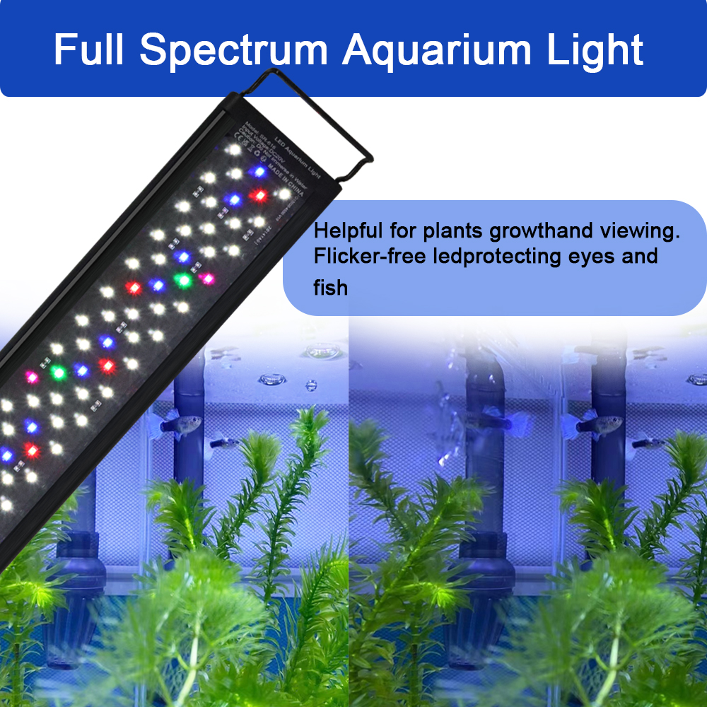 12-30 Inch Fish Tank Full Spec - Aquarium Marine Light recensione e prezzo