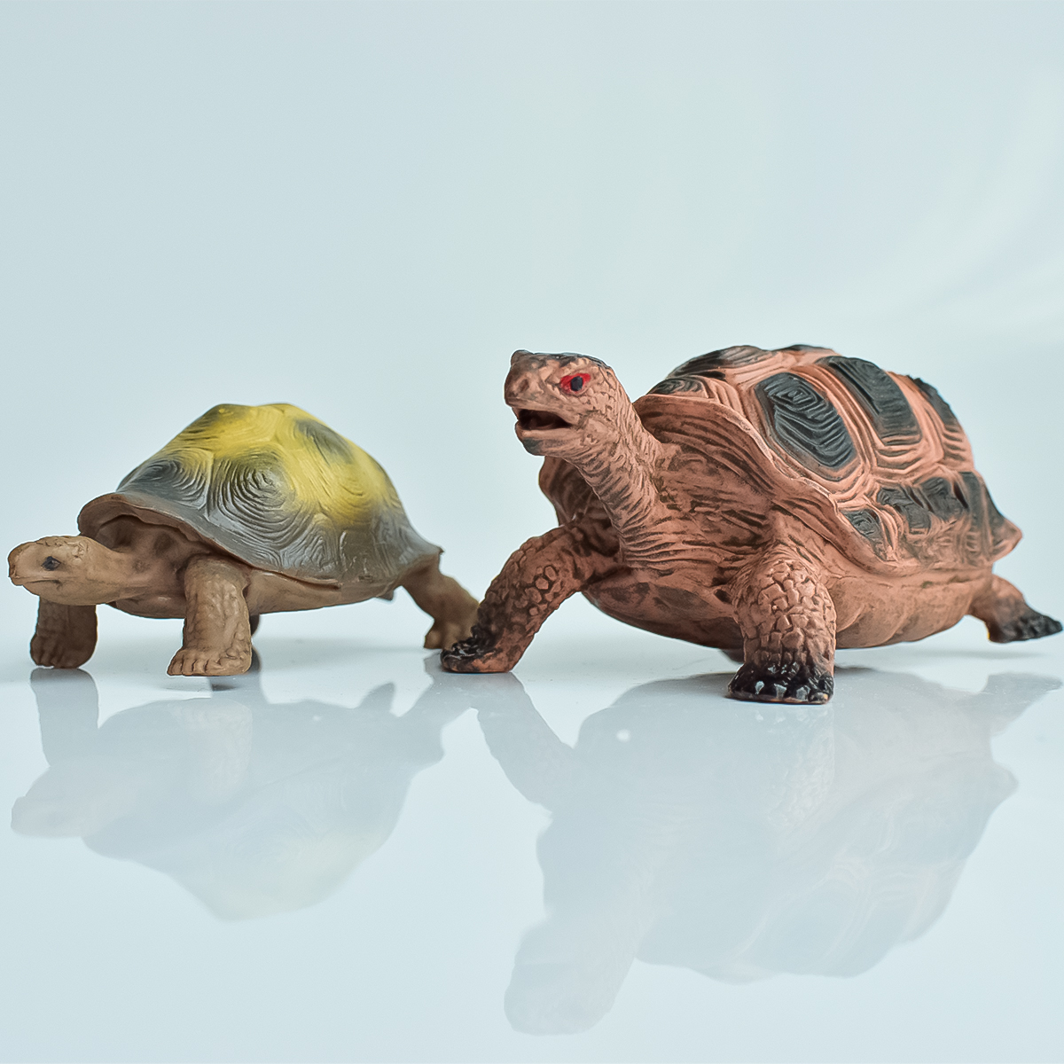 Painted Realistic Animal Turtl - Aquarium Marine Fish recensione e prezzo