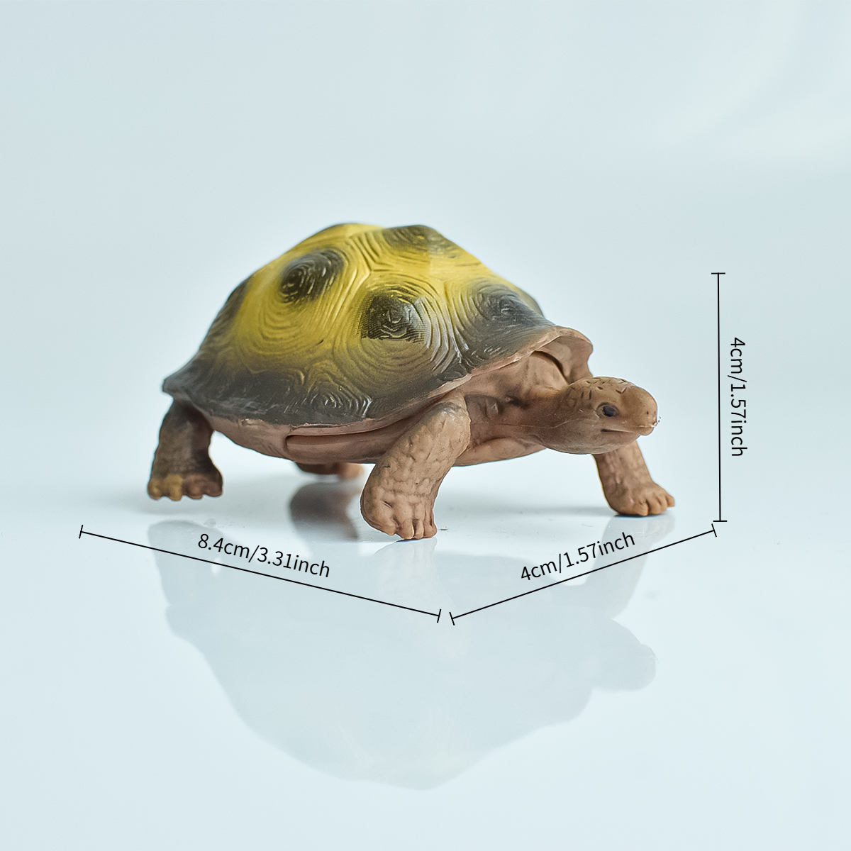 Painted Realistic Animal Turtl - Aquarium Marine Fish recensione e prezzo
