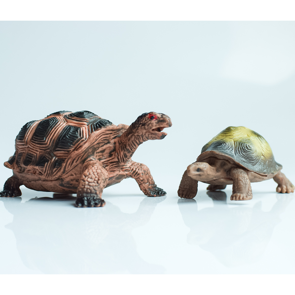 Painted Realistic Animal Turtl - Aquarium Marine Fish recensione e prezzo