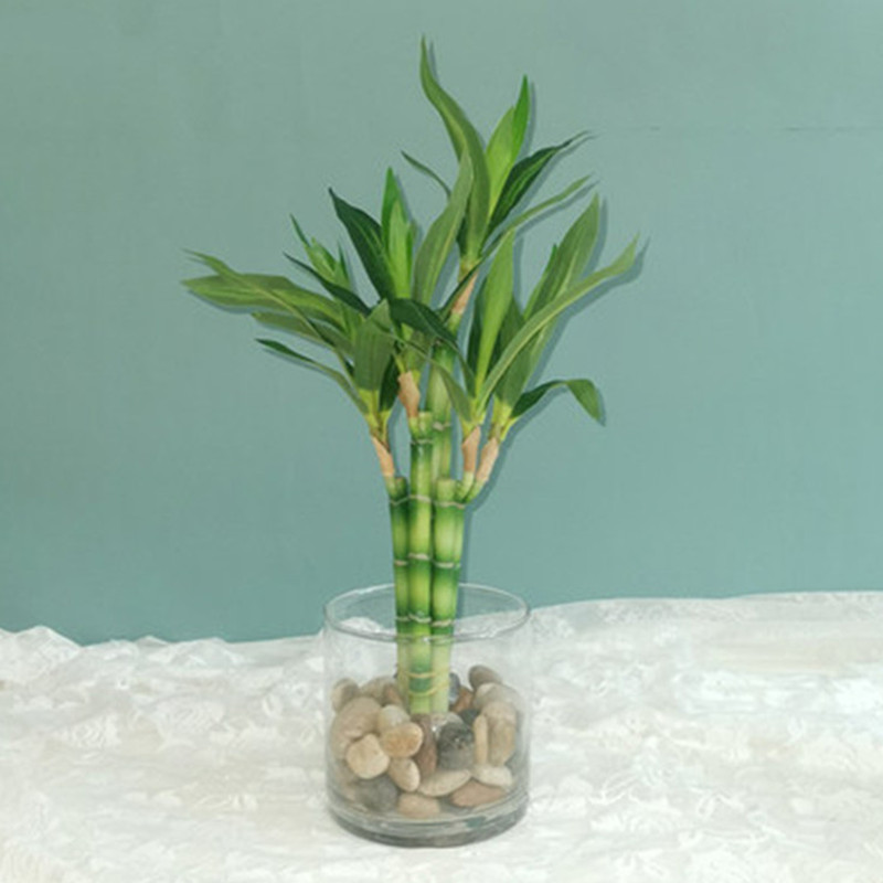 New 40cm rFtificial Lucky Bamb - Aquarium Marine Fish recensione e prezzo