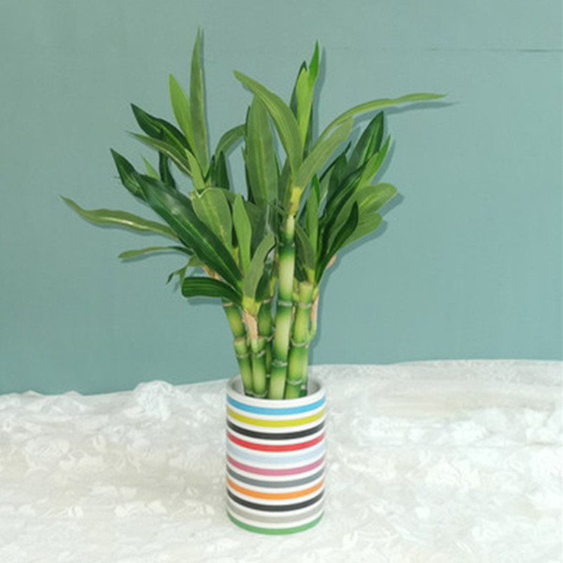 New 40cm rFtificial Lucky Bamb - Aquarium Marine Fish recensione e prezzo