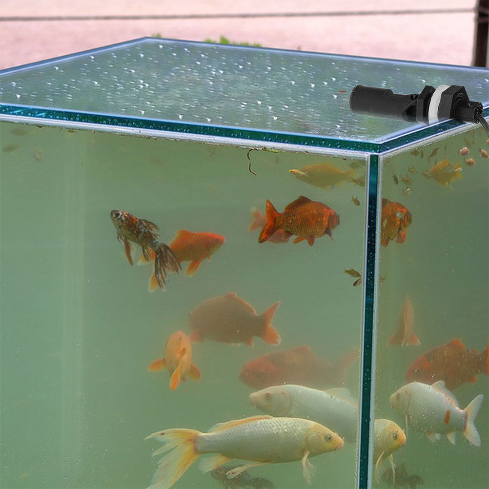 3Pcs Plastic Float Switch Side - Aquarium & Marine Museum Universiti Malaysia Sabah Kota Kinabalu Sabah Reviews recensione e prezzo