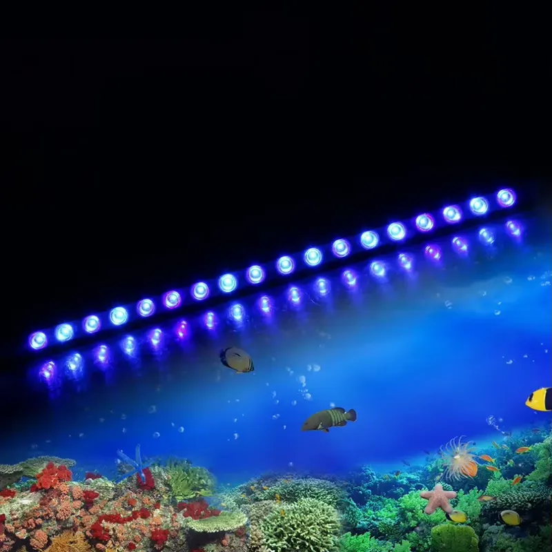 Dimmable Timing LED Aquarium L - Marine Aquarium Timing recensione e prezzo