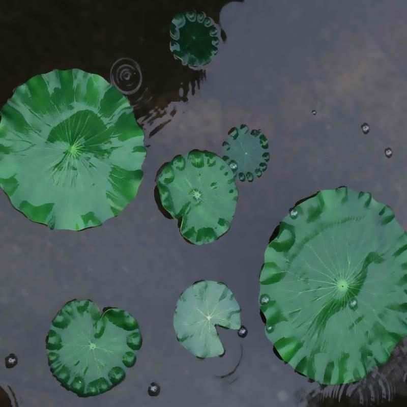 2026 Artificial Water Lily Lot - Aquarium Marine Fish recensione e prezzo