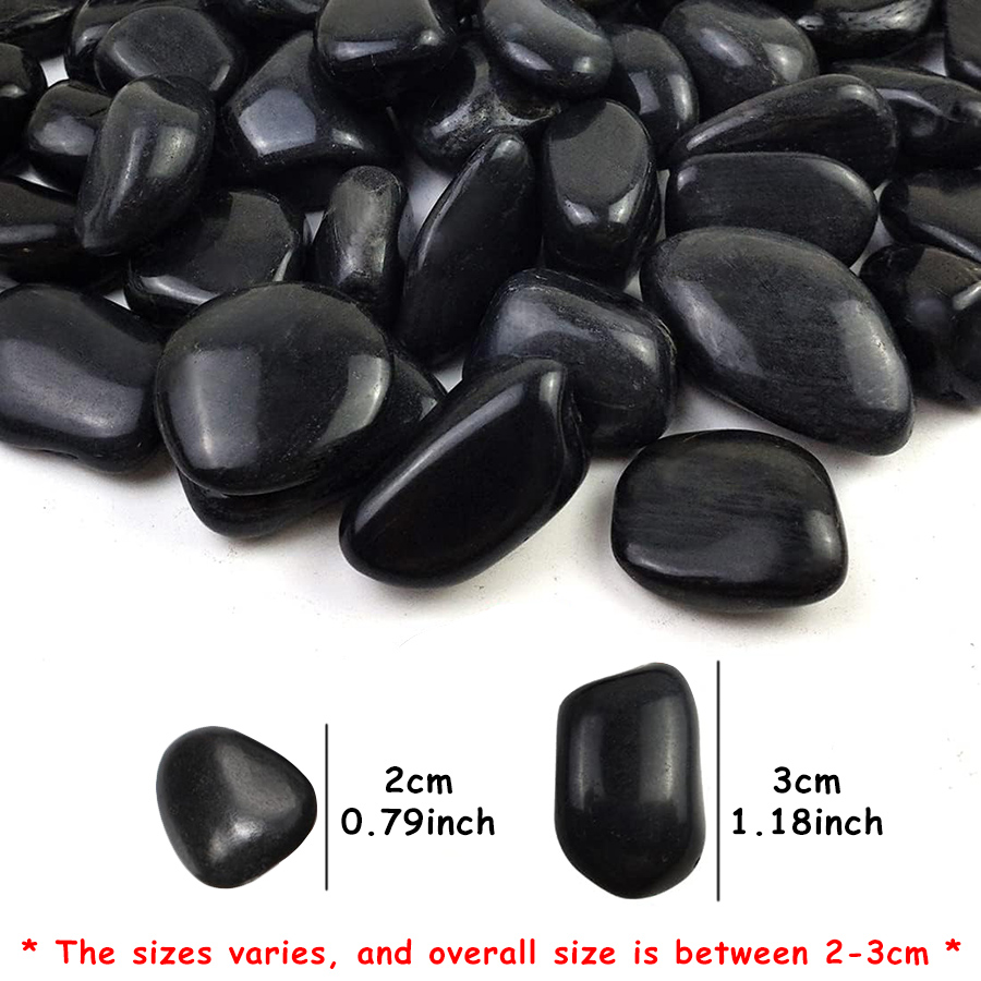 200g Black High Polished Natur - Aquarium Marine Fish recensione e prezzo