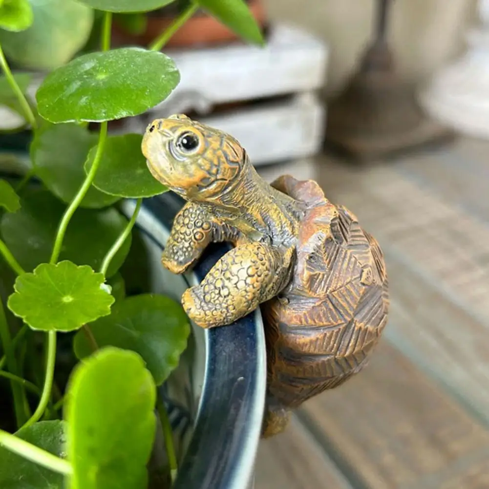Fishing Turtle Hanging Turtle  - Aquarium Marine Fish recensione e prezzo