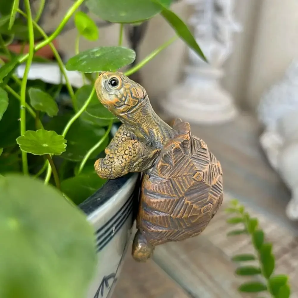 Fishing Turtle Hanging Turtle  - Aquarium Marine Fish recensione e prezzo