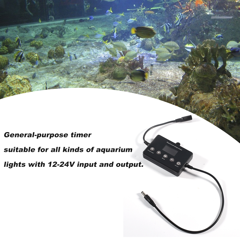 Fish Tank Timer Marine Aquariu - Marine Aquarium Timing recensione e prezzo