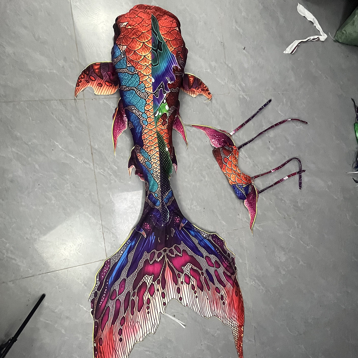 Customized Mermaid Costume, Co - Aquarium & Marine Museum Universiti Malaysia Sabah Kota Kinabalu Sabah Reviews recensione e prezzo