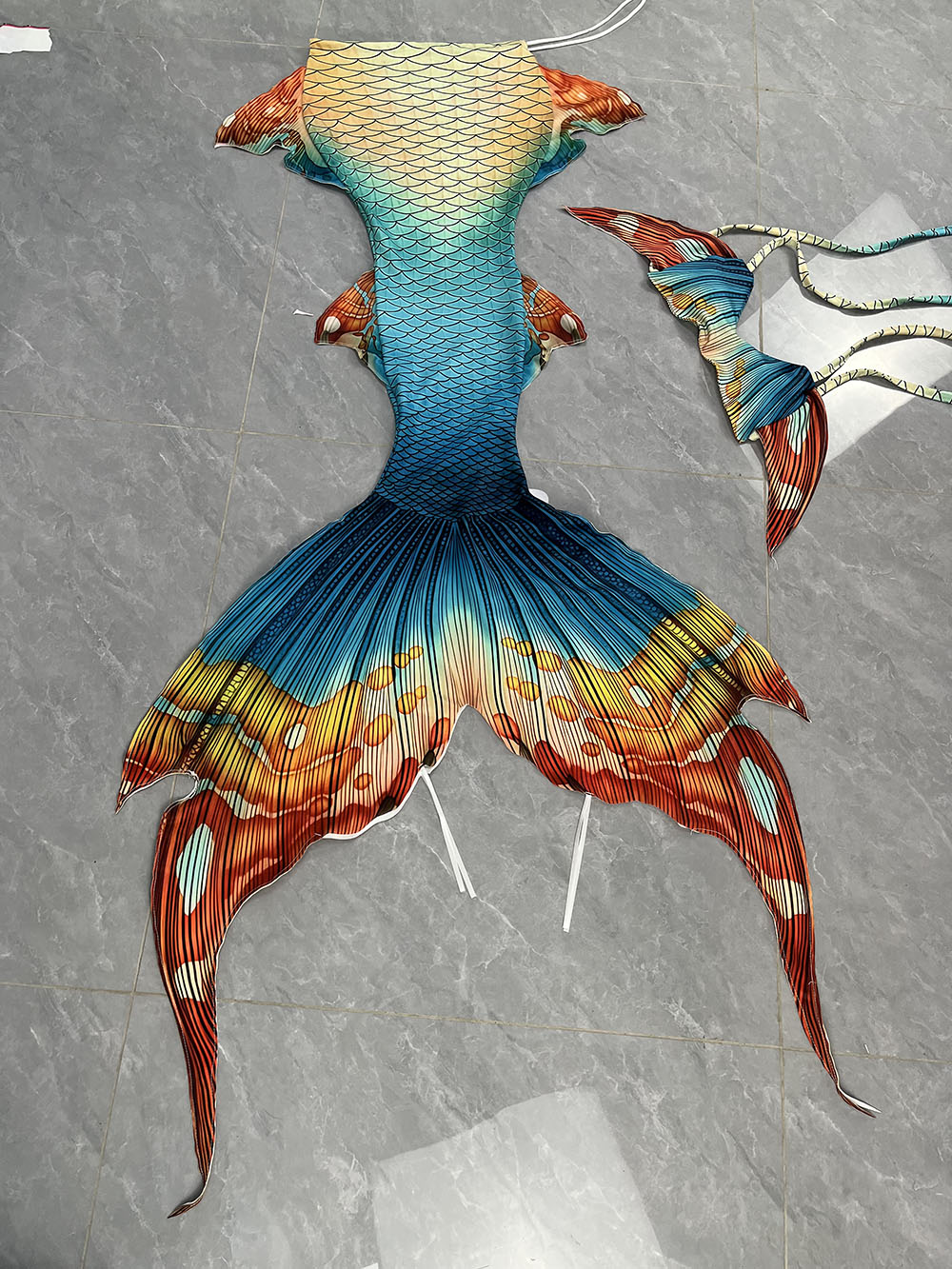 New Pattern Mermaid Tail Merma - Aquarium & Marine Museum Universiti Malaysia Sabah Kota Kinabalu Sabah Reviews recensione e prezzo