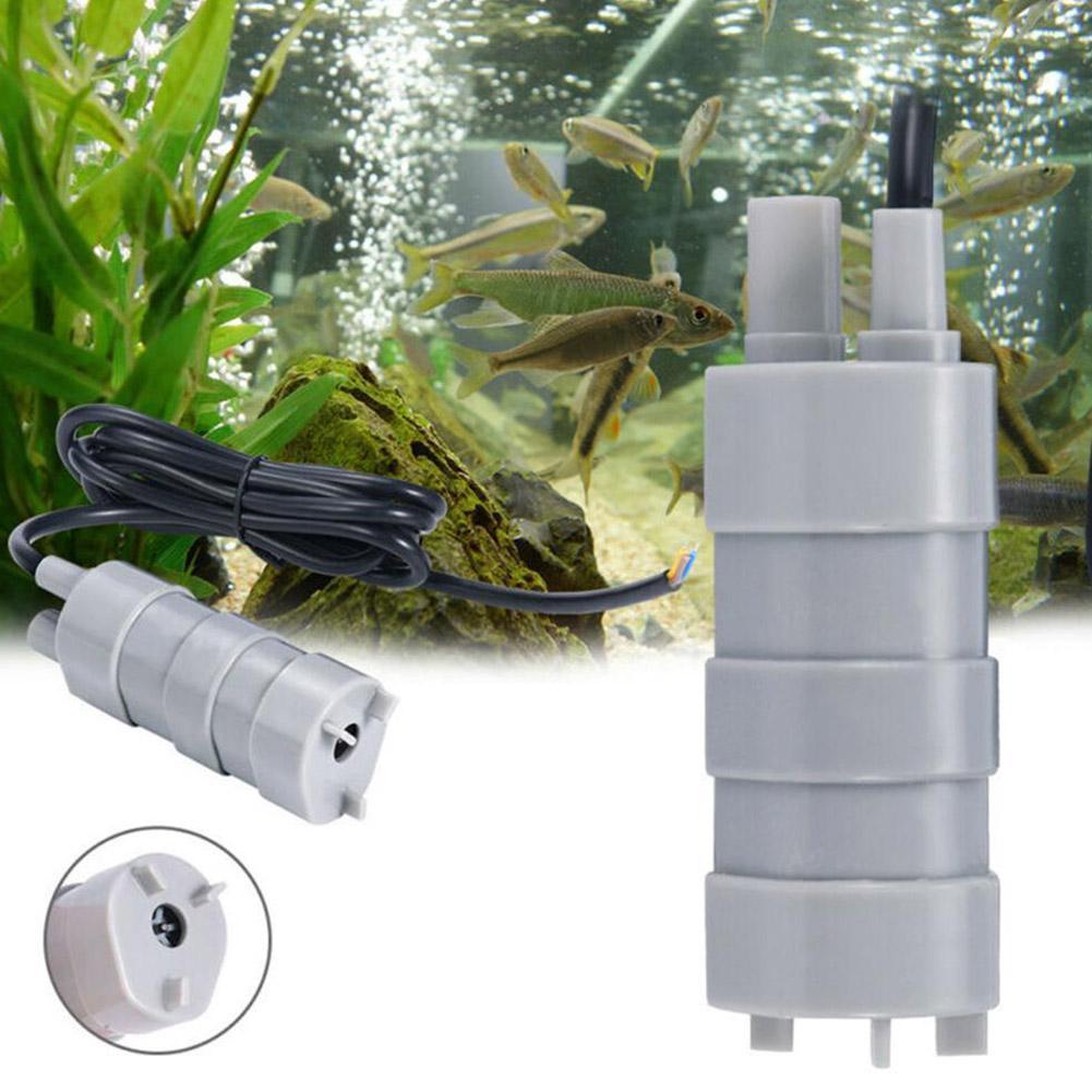 RV 12V Submersible Pump, 1000L - Aquarium & Marine Museum Universiti Malaysia Sabah Kota Kinabalu Sabah Reviews recensione e prezzo