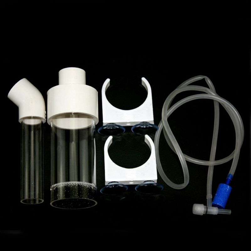Aquarium Cichlids Tumbler Fish - Aquarium & Marine Museum Universiti Malaysia Sabah Kota Kinabalu Sabah Reviews recensione e prezzo