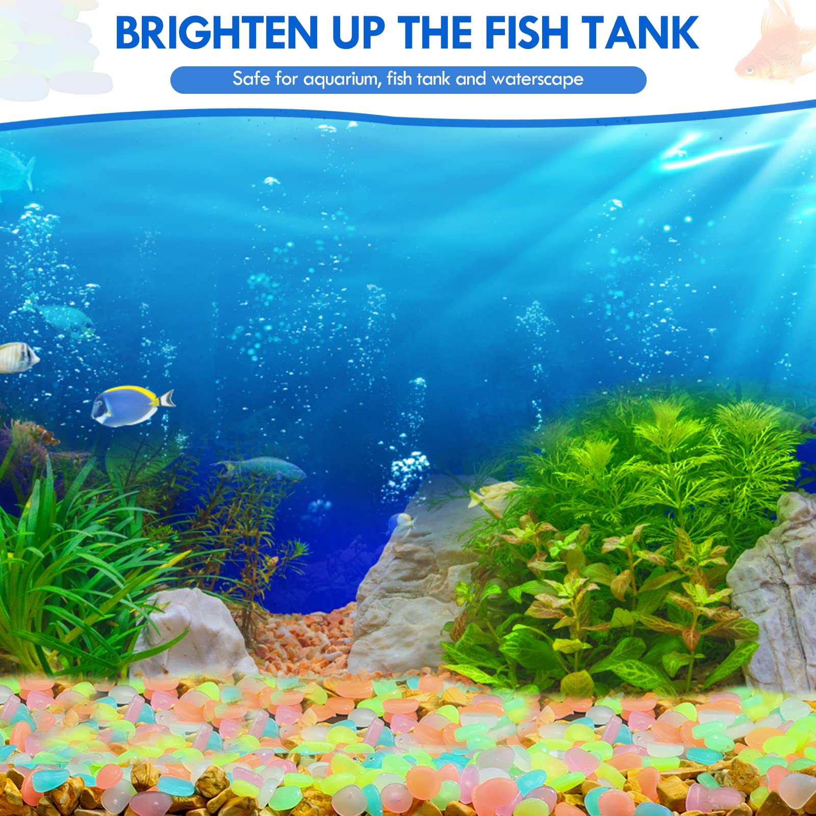 100Pcs Glow in the Dark Garden - Aquarium Marine Fish recensione e prezzo