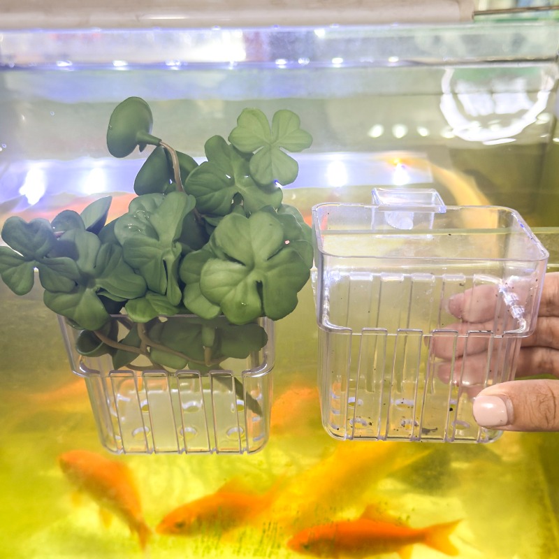 1/5pcs Aquarium Decoration Pla - Aquarium Marine Fish recensione e prezzo