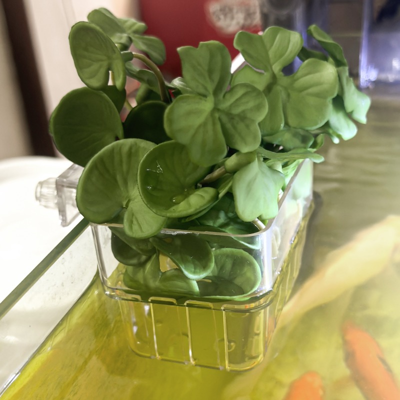 1/5pcs Aquarium Decoration Pla - Aquarium Marine Fish recensione e prezzo
