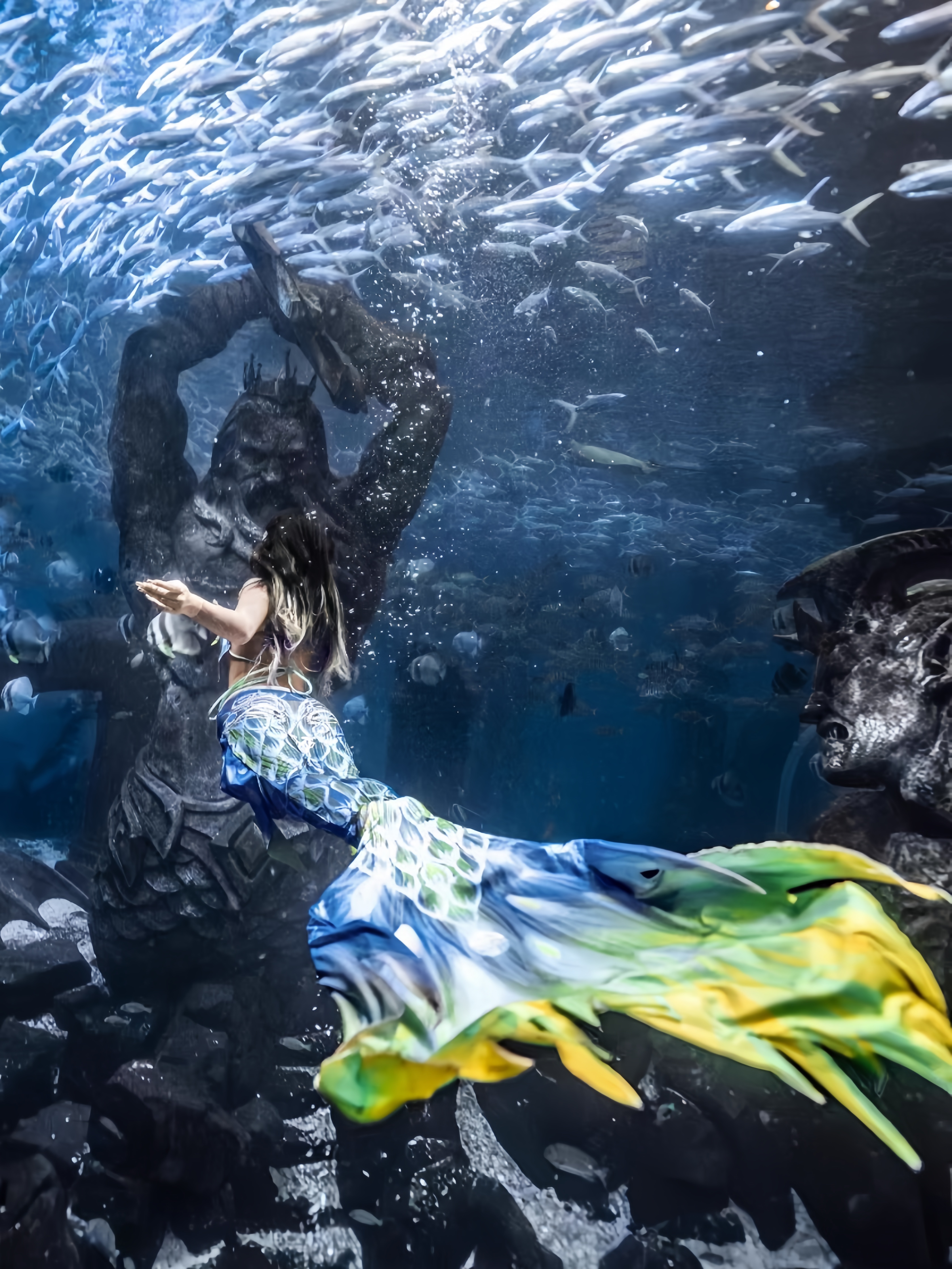 Mermaid Tail Adult Ladies Swim - Aquarium & Marine Museum Universiti Malaysia Sabah Kota Kinabalu Sabah Reviews recensione e prezzo
